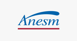 logo_anesm logo_anesm