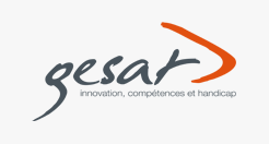 logo_gesat logo_gesat