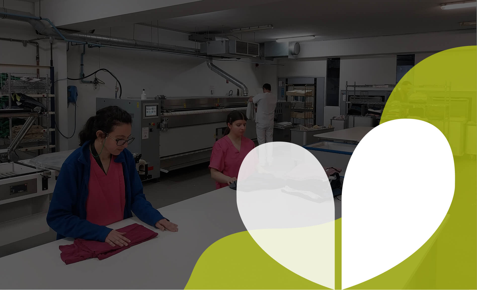 Nettoyage & Propreté